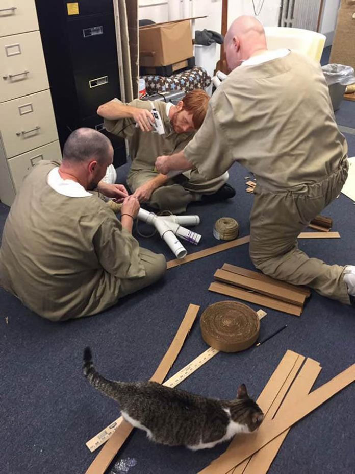 Prison In Indiana Accepts Shelter Cats And They Transform Prisoners Lives Catlov