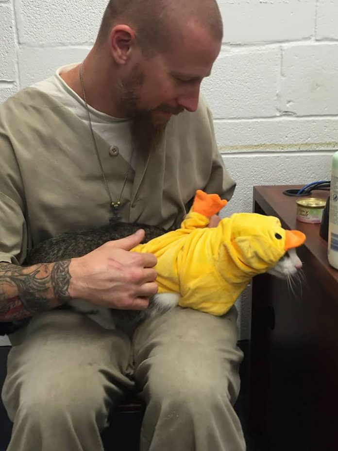 Prison In Indiana Accepts Shelter Cats And They Transform Prisoners