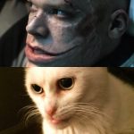 Steve-Buscemi-Cat-8