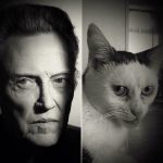 Steve-Buscemi-Cat-9