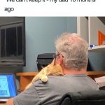 wholesome-cat-posts-10