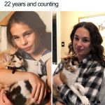 wholesome-cat-posts-13