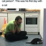 wholesome-cat-posts-15