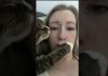 Cat Awkwardly Touches Owner