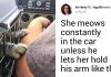 15+ Photos We Can Use To Turn Anyone Into A Cat Lover