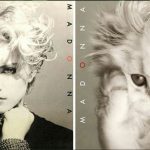 Featured-cats-famous-album-covers-FB