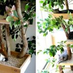 Featured-indoor-cat-towers-pet-tree-houses-FB