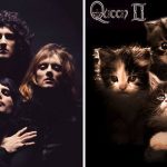 cats-famous-album-covers-11