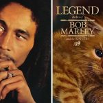 cats-famous-album-covers-12