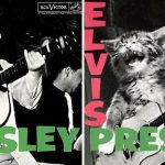 cats-famous-album-covers-15