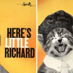 cats-famous-album-covers-17