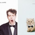 cats-famous-album-covers-2