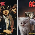 cats-famous-album-covers-20