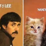 cats-famous-album-covers-21