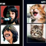 cats-famous-album-covers-22