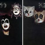 cats-famous-album-covers-23