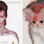 cats-famous-album-covers-5