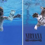 cats-famous-album-covers-7