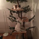 indoor-cat-towers-pet-tree-houses-15