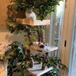 indoor-cat-towers-pet-tree-houses-18