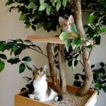 indoor-cat-towers-pet-tree-houses-2