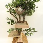 indoor-cat-towers-pet-tree-houses-3