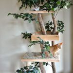 indoor-cat-towers-pet-tree-houses-4