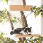 indoor-cat-towers-pet-tree-houses-8