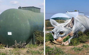 Street Artist Paints Mind-Bending Sphynx Illusion on Gas Tank