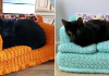 People are Using Their Free Time To Crochet Tiny Couches For Their Cats
