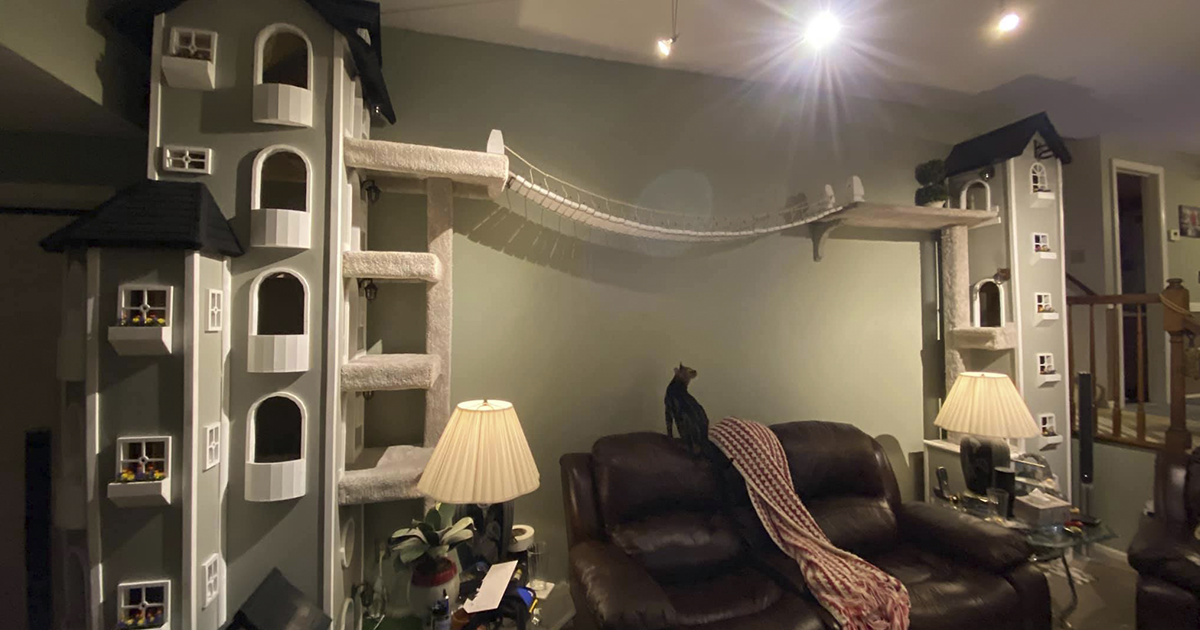 Man Builds Two Kitty Towers For His Cats And So Many People Want It, He