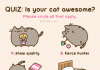 Is Your Cat Awesome?