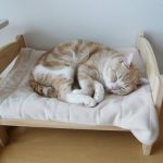 ikea-doll-beds-for-cats-14