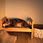 ikea-doll-beds-for-cats-17