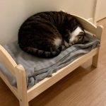 ikea-doll-beds-for-cats-26