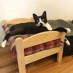 ikea-doll-beds-for-cats-35