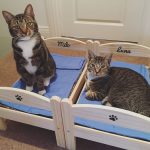 ikea-doll-beds-for-cats-37