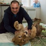 In-an-act-of-extreme-evil-baby-lion-had-his-legs-broken-to-take-pictures-with-tourists-17