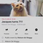 Maison de Moggy-30