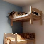 ikea-doll-beds-for-cats 1