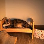 ikea-doll-beds-for-cats 18