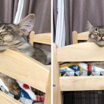 ikea-doll-beds-for-cats-19