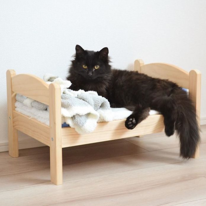 ikea doll beds for cats