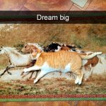 Hilarious Cat Snapchats That Will Put A Smile On Your Face-11