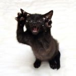 The ‘Murder Mittens’ Group Is All About Cats Showing Off Their Claws, And Here Are 40 Of The Most Scarily Cute Ones-18