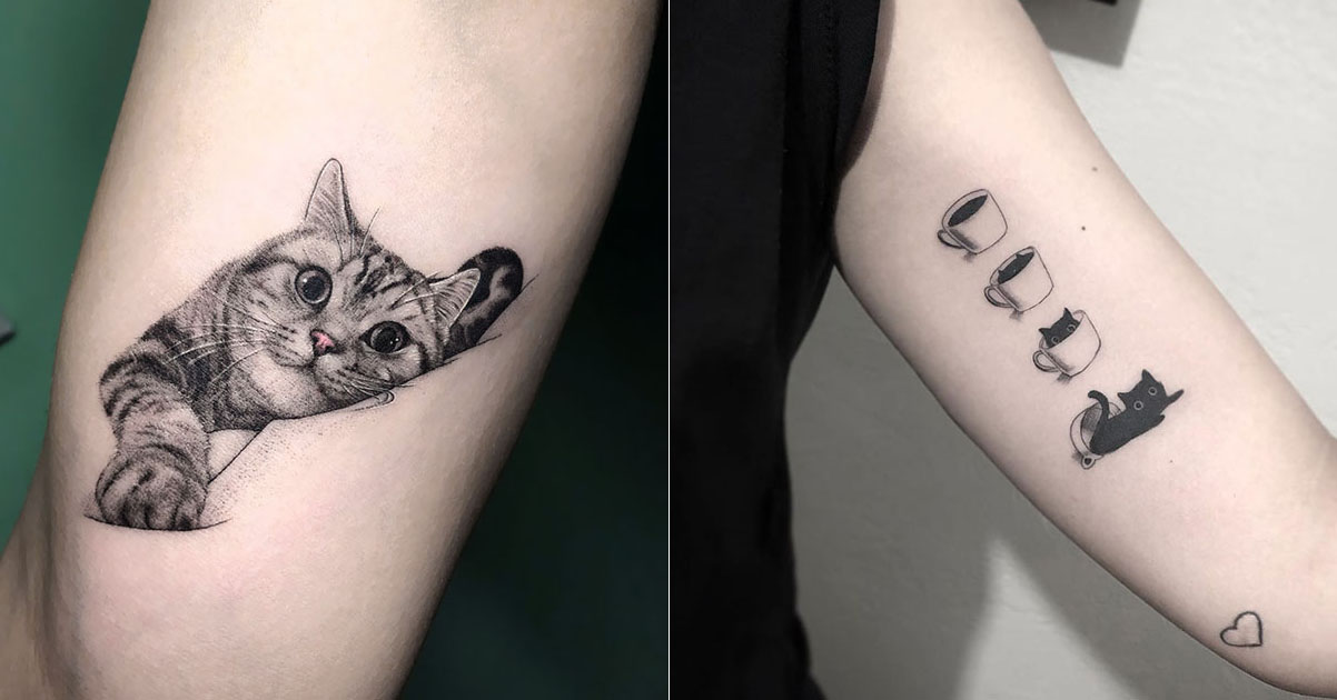 Featured Best Cat Tattoos Fb Catlov