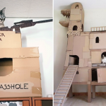 Featured-Cardboard-Forts-Cats-FB