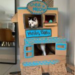 cardboard-cat-forts-10