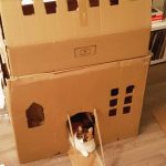 cardboard-cat-forts-16