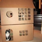 cardboard-cat-forts-17